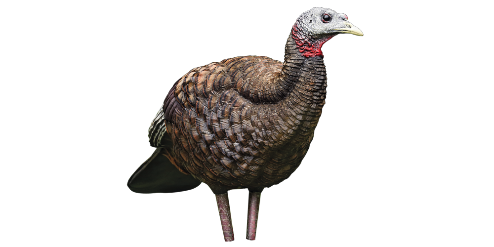 Avian-X, LCD Breeder Hen Turkey Decoy