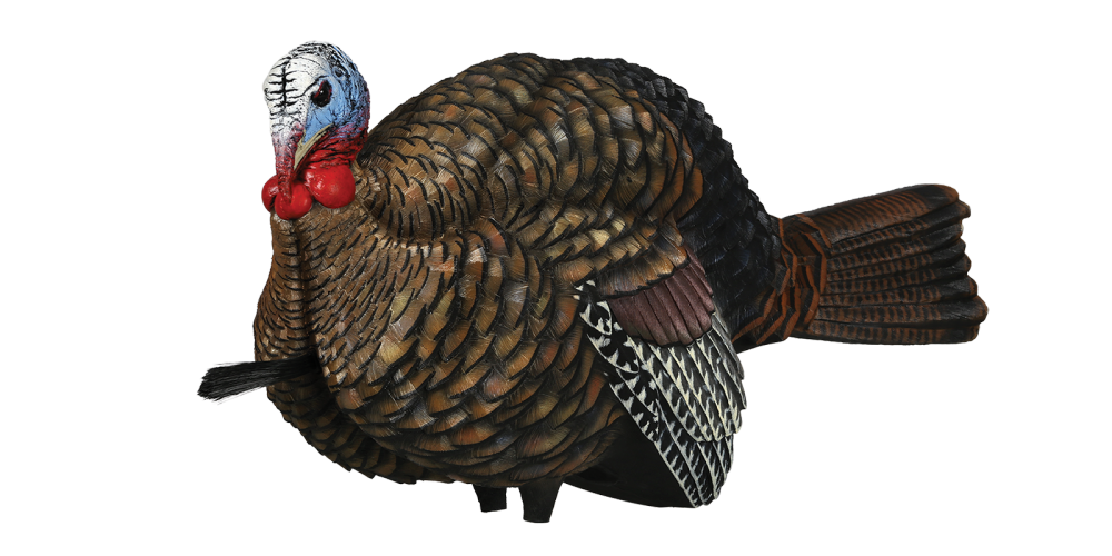 Avian-X, LCD Half Strut Jake Turkey Decoy